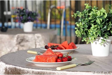 וילה בת גליל - הבריכה והחצר