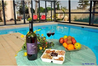 וילה אוויר הרים - החצר והבריכה