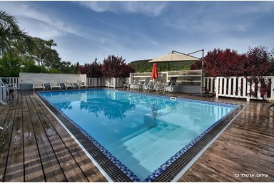 וילה מקסים - הבריכה והספא