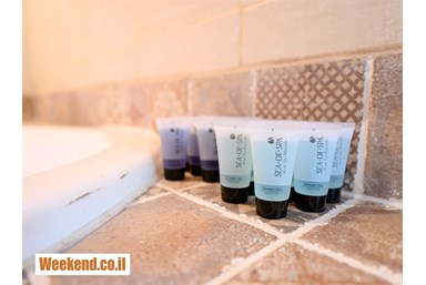 וילה בצל הגפן - הוילה 