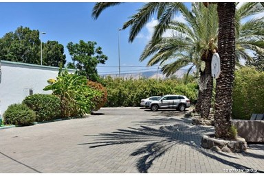 וילה פנינה בכנרת - מתחם הבריכה והחצר