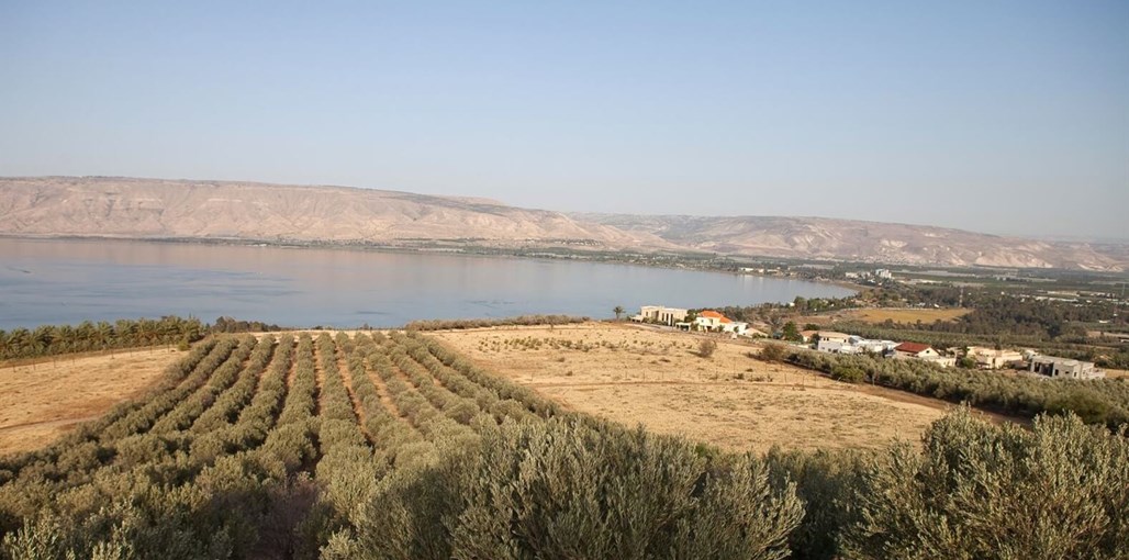 גליליי נוף לכנרת H-D-N_3.jpg