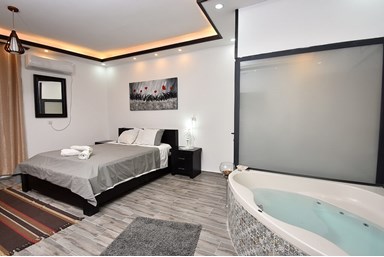 וילה תולין - הוילה