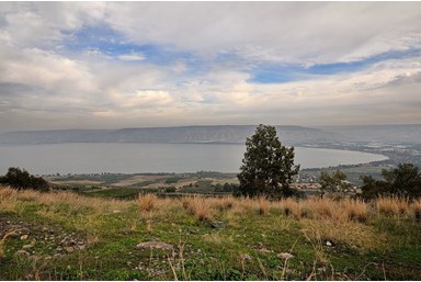 וילה אגדה בכנרת - הבריכה המחוממת והחצר