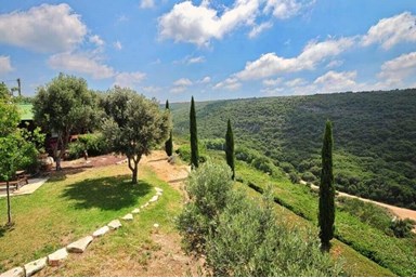 וילה שוויצריה בגליל