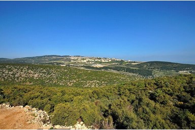 וילה טרסה view - החצר והבריכה