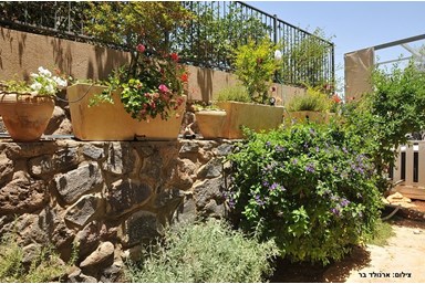 וילה אוורסט - החצר והבריכה