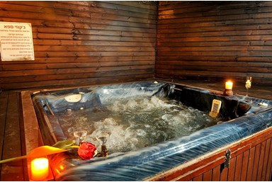 וילה אחוזת ווינטרפל - החצר והבריכה