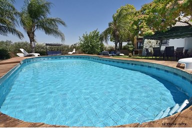 וילה קלמה במושבה - החצר והבריכה