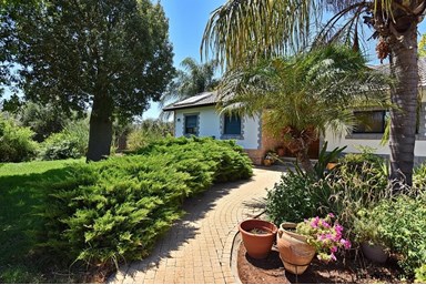 וילה קלמה במושבה - החצר והבריכה