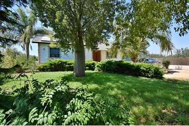 וילה קלמה במושבה - החצר והבריכה