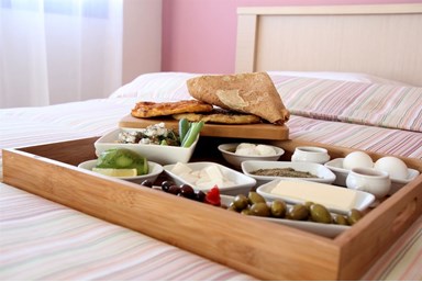 וילה עדי הכרמל