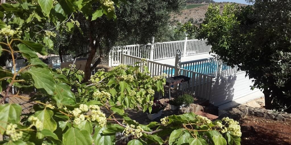 וילה לבנדר בהרים בריכה (5).jpg