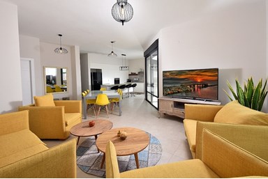 וילה בית אשכנזי - הוילה