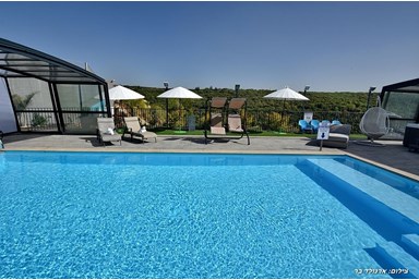 וילה קרולינה - הבריכה והחצר