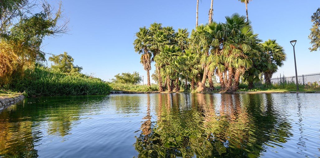 סקיי האוס מתחם 1 (27).jpg