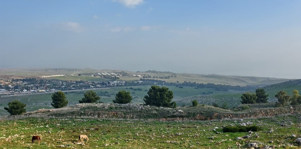 וילה אדג' - Villa Edge WhatsApp Image 2021-03-18 at 12.37.08.jpeg