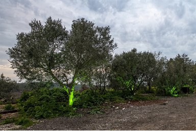 וילה אחוזת לאונרדו - מתחמי החוץ והבריכה