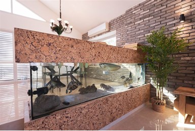 וילה טי האוס - Villa T House - הוילה