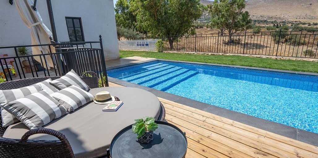 לבנדר בגלבוע לבנדר חדשות מאלברט (16).jpg