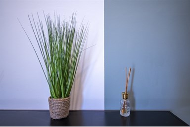 וילה אחוזת עומרי - הוילה