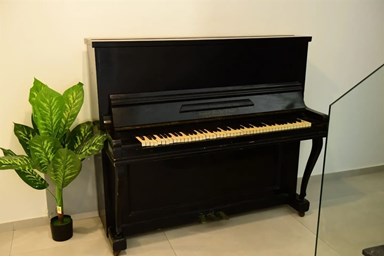 וילה אחוזת ממלכת החלומות