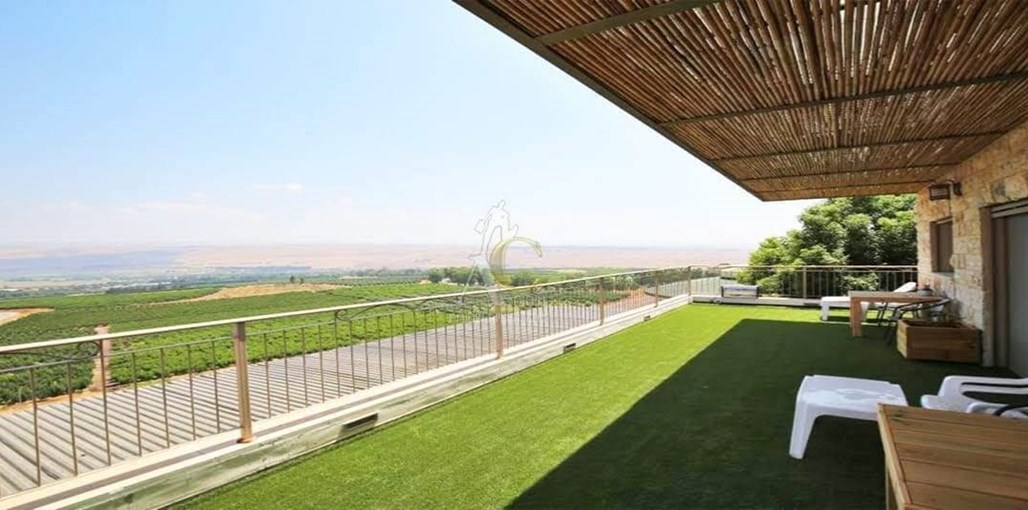 ויללי ויללי (11).jpg