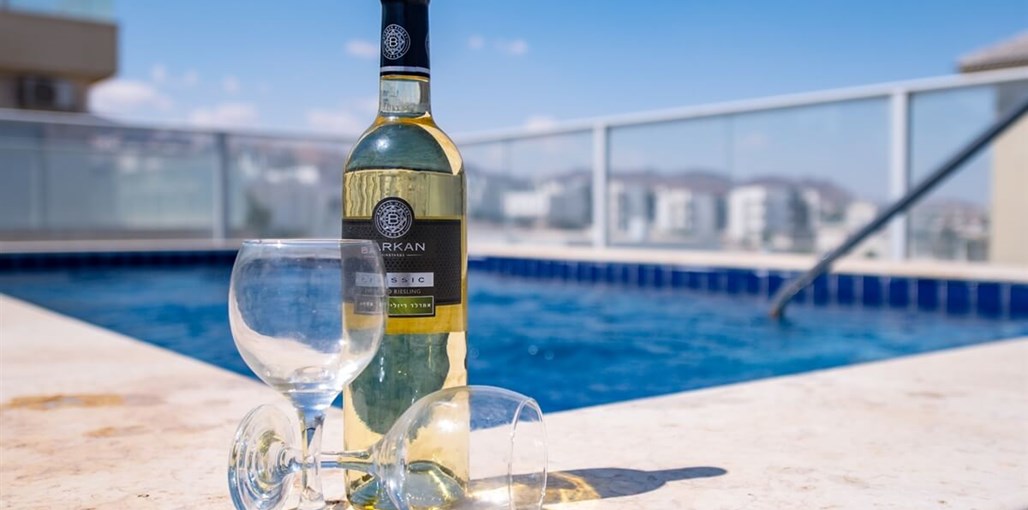 פנטהאוז קסם המפרץ מתחם החוץ (3).jpg