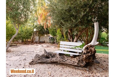 וילה בצל הגלבוע - החצר והבריכה 